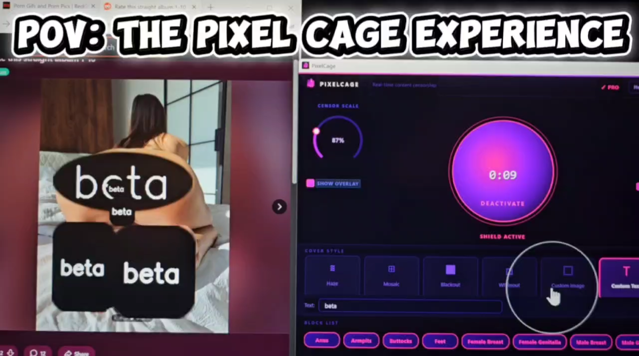 PixelCage control panel and overlay in action